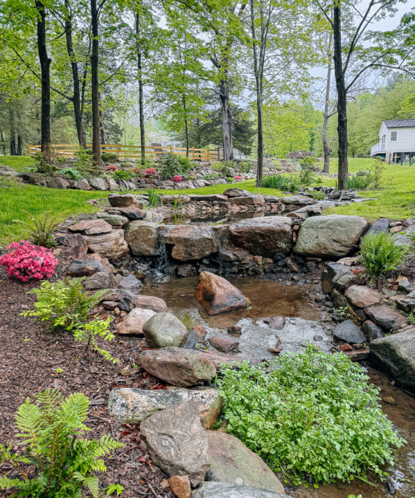 The Woks of Life 2025 garden update