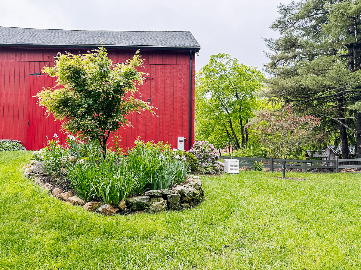flowers and trees outside barn