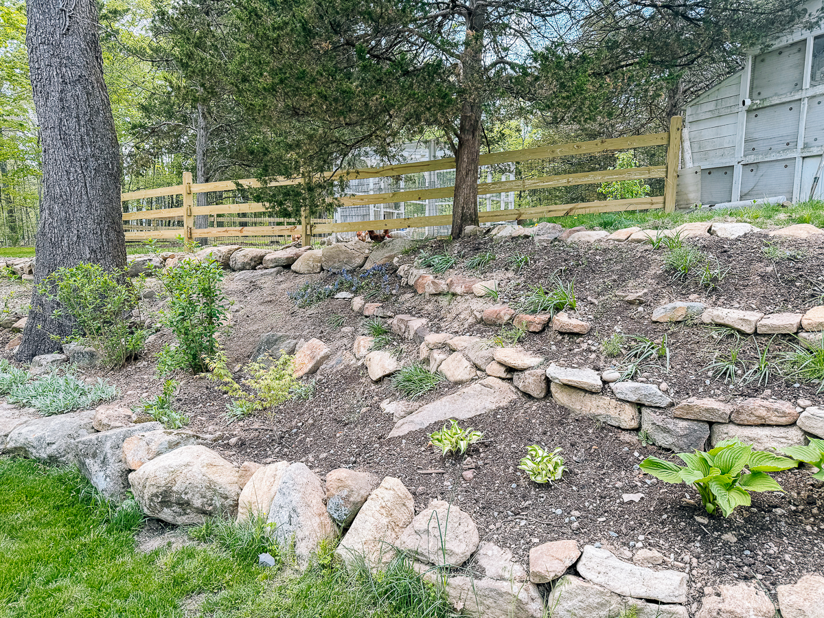 terraced area near stream